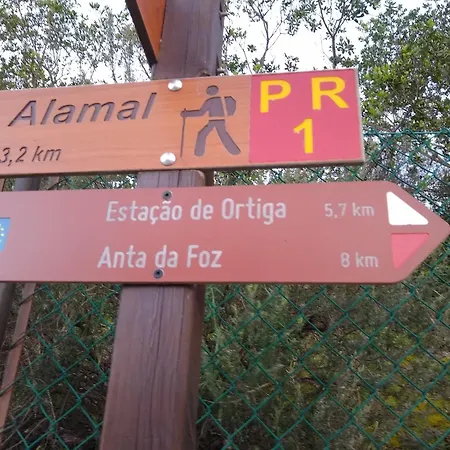 Ortiga