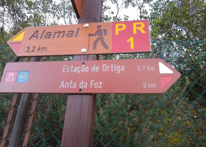 Ortiga